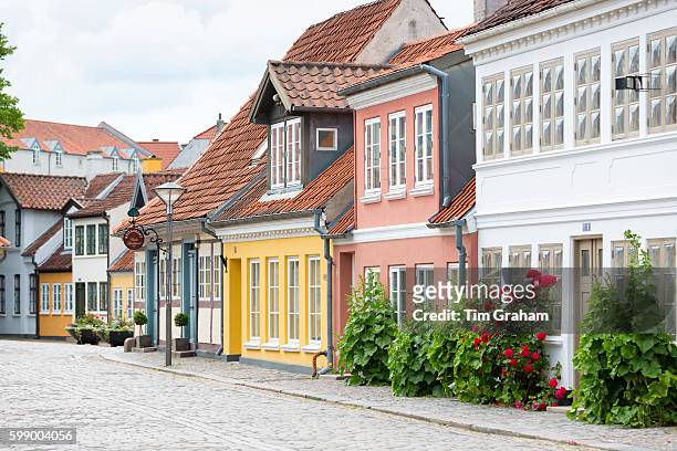 Painted houses in Ramsherred in the old town in Odense on Funen Island, Denmark