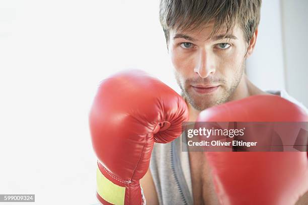 boxer with fists raised - oliver eltinger stock pictures, royalty-free photos & images
