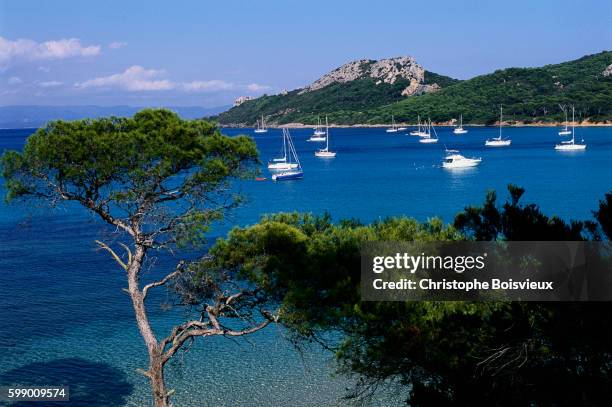 yachts in the clear blue seas of the cote d'azur - porquerolles photos et images de collection