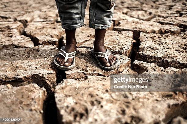 22nd March is observed as World Water Day which is international observance of World Water Day is an initiative that grew out of the 1992 United...