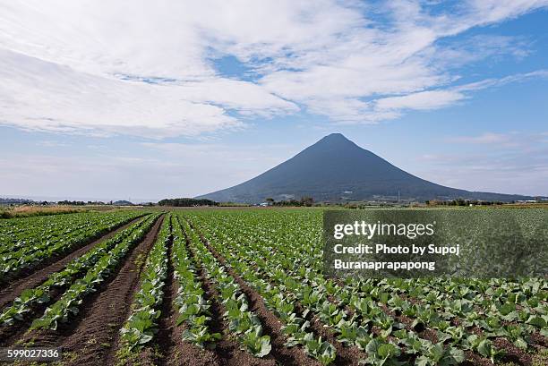 mount kaimondake in kyushu japan - 鹿児島 ストックフォトと画像