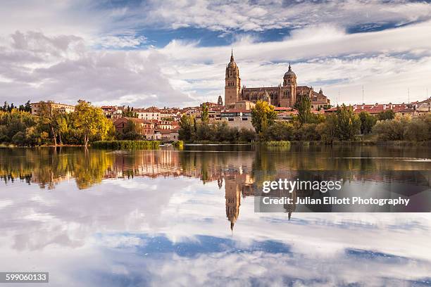 the cathedral in salamanca across the rio tormes. - salamanca stock pictures, royalty-free photos & images