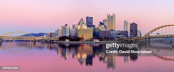 pittsburgh skyline at sunset from the river bank - pittsburgh ストックフォトと画像