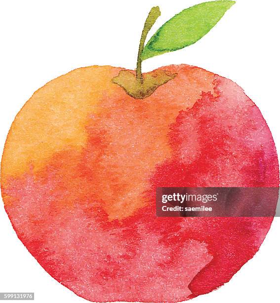 stockillustraties, clipart, cartoons en iconen met watercolor apple - apple