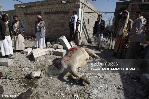 Yemenis stand near dead animals following a reported airstrike by Saudi-led coalition airplanes in the capital Sanaa on September 4, 2016. The Arab...