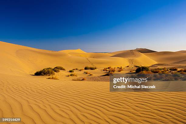Sub Saharan Ridgeback Sub Saharan Africa Landscape Photos and Premium High Res Pictures ...
