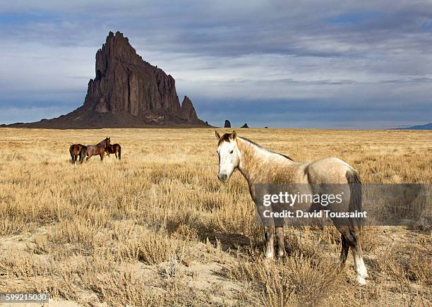 wild horses at shiprock - shiprock fotografías e imágenes de stock