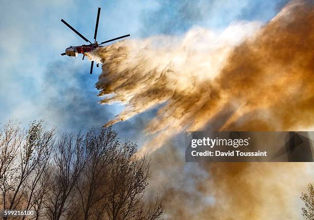 helitanker dropping water on a wildfire - california wildfires stock pictures, royalty-free photos & images