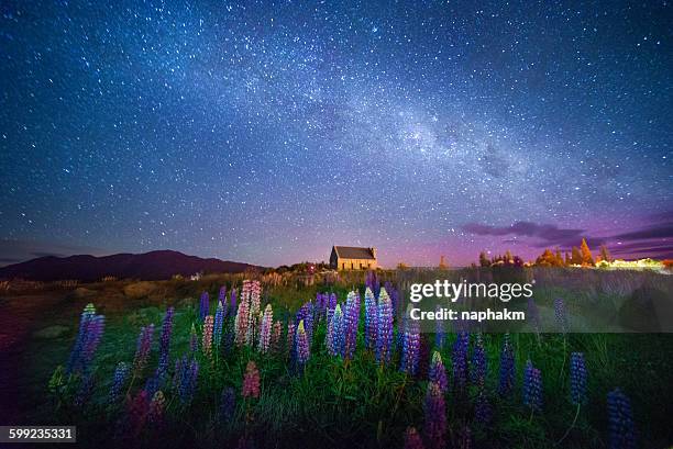 lupines and church among milky way and aurora - tékapo fotografías e imágenes de stock