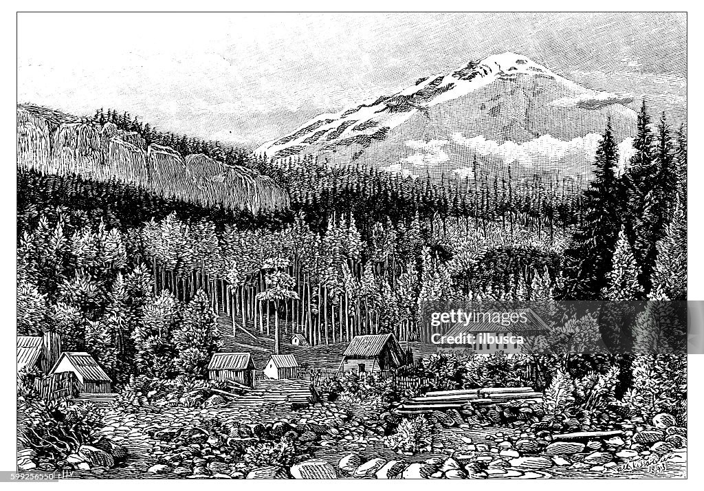 Antique illustration of Mont Rainier, Tacoma