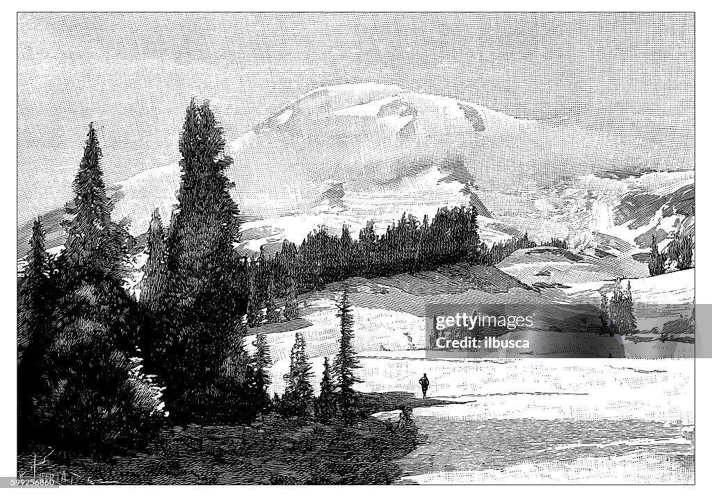 Antique illustration of Mont Rainier, Tacoma