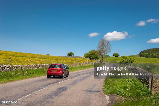 red car on a country road in summer - car country road stock-fotos und bilder