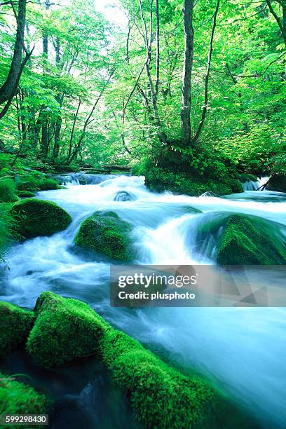 oirase stream, long exposure - plusphoto stockfoto's en -beelden