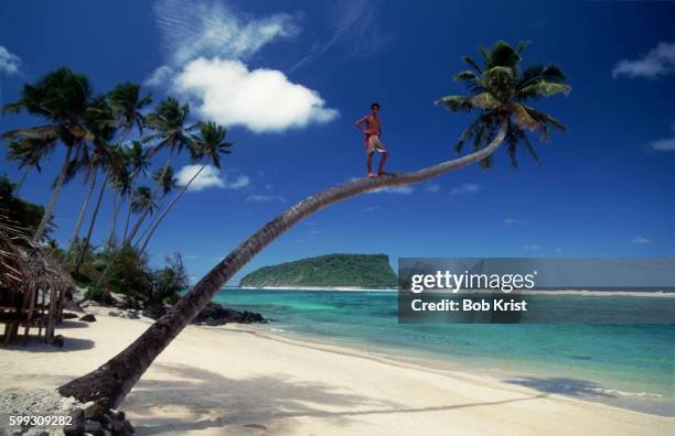 lalomanu beach in western samoa - western samoa stock pictures, royalty-free photos & images