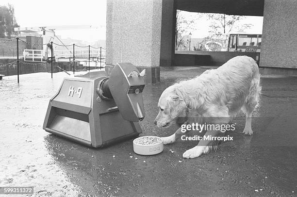 The pair were brought together to celebrates the firm's fiftieth anniversary. Robert is seen here meeting K9 for the first time and ins't all that...