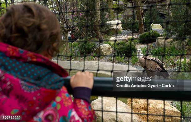 Inaugurated in 1934, the Paris Zoo will reopen for the public after being closed for four-years for renovation, transforming the zoo with new...