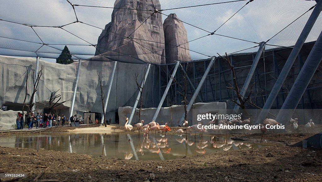 France - Reopening of the Paris Zoological Park in Vincennes