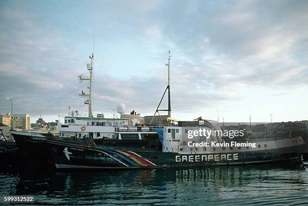 rainbow warrior docked - greenpeace stock-fotos und bilder