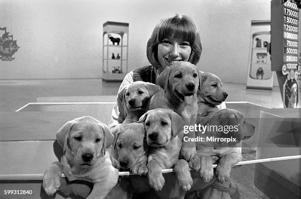 Lesley Judd. "Blue Peter" and Puppies. January 1975 75-00022