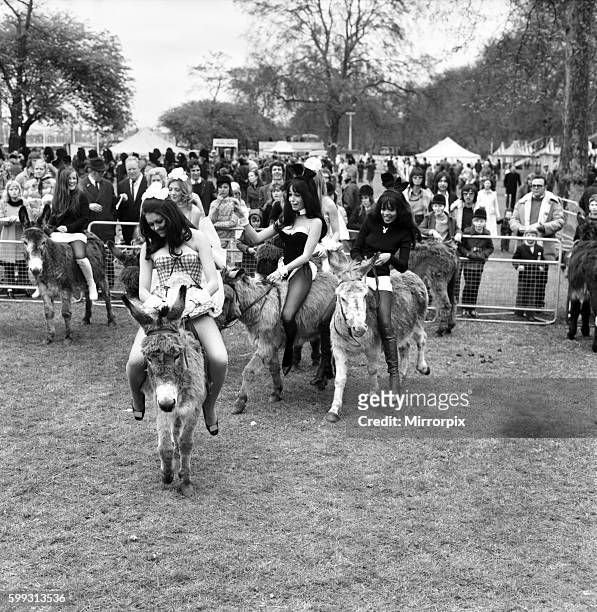 Bunny girls and Penthouse pets in a race which was declared as dead heat by the organisers. April 1972 72-04585-005