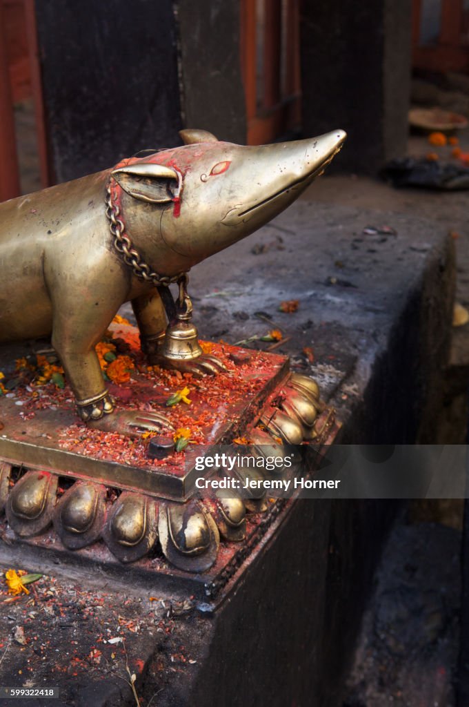 Statue of the shrew, Ganesha's vehicle, Durbar Square, Kathmandu, Nepal