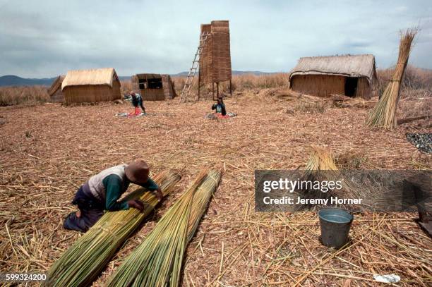 Drying Tower Reeds 764 Totoro Stock Photos, High-Res Pictures, and Images - Getty Images