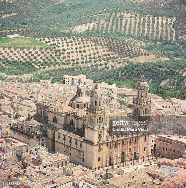 Olive orchards surround the town of Jaen with its magnificent cathedral. Spain. | Location: Jaen, Spain.