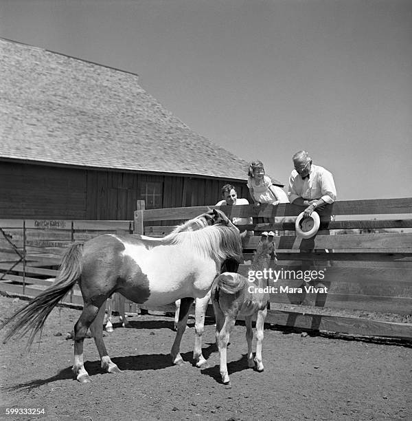 Former president Harry Truman with a little girl and her father watch a pair of horses with a colt. After his presidency ended in 1953, Truman...