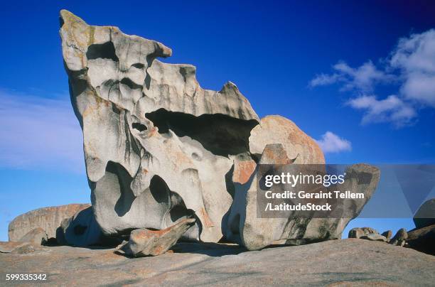 kangaroo island, south australia, australia - australia kangaroo island fotografías e imágenes de stock