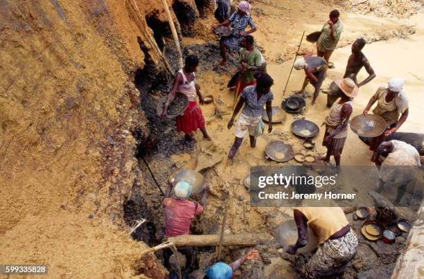 gold miners pan for gold - mina de oro fotografías e imágenes de stock
