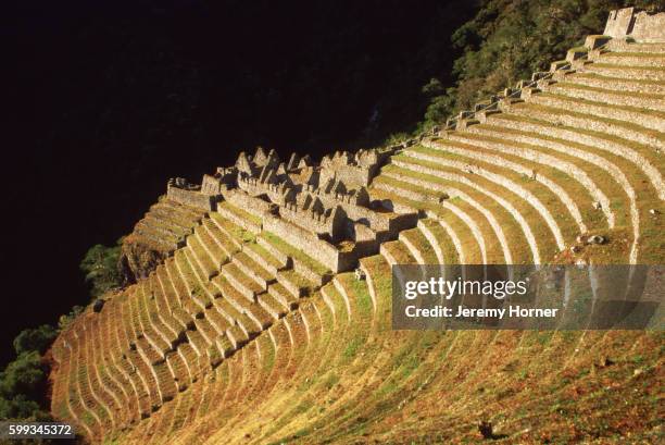 winay wayna inca ruins, peru - inca stock pictures, royalty-free photos & images