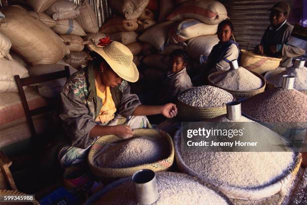 People Selling Rice 257 Aboriginal Tin Can Stock Photos, High-Res Pictures, and Images ...