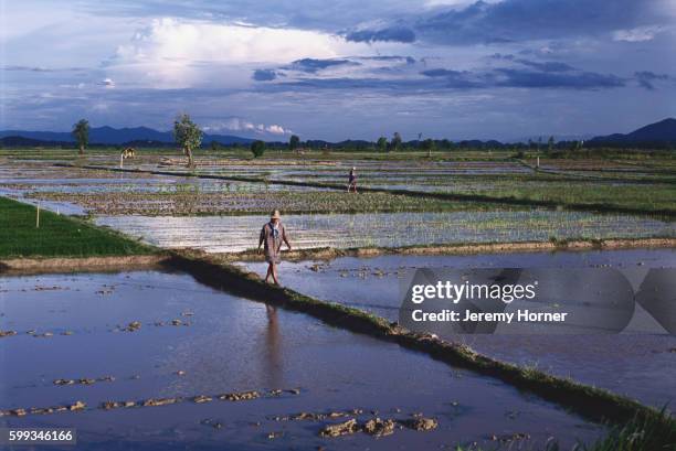 683 Jeremy Rice Stock Photos, High-Res Pictures, and Images - Getty Images
