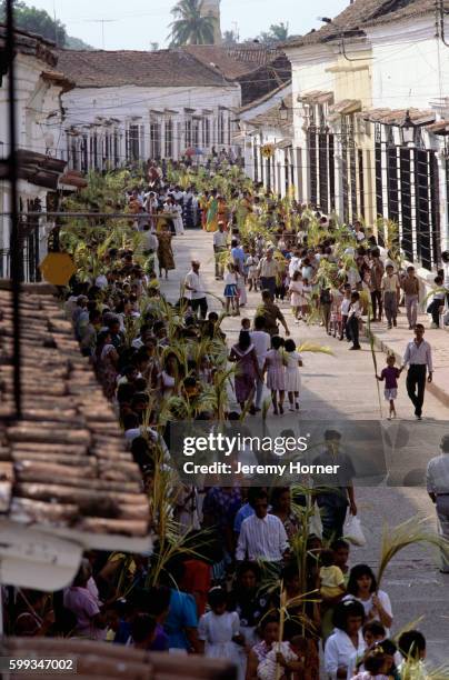 colombians carrying palms in holy week - santa cruz de mompox photos et images de collection