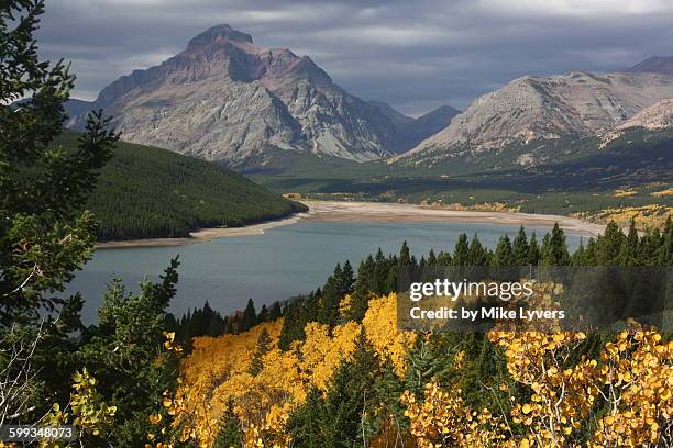 montana autumn, lower two medicine lake - two medicine lake montana stock-fotos und bilder