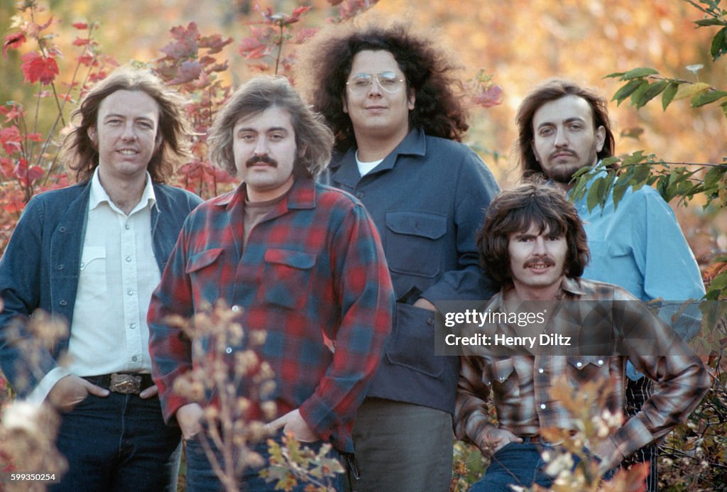 A portrait of 1960s folkrock band, The Turtles, after they became
