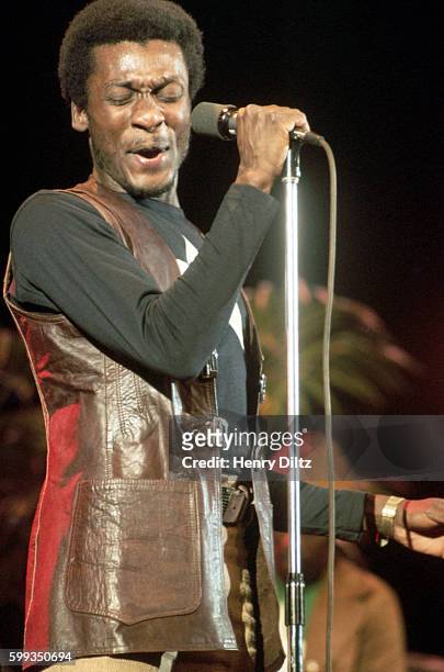 Reggae musician Jimmy Cliff performs in concert.