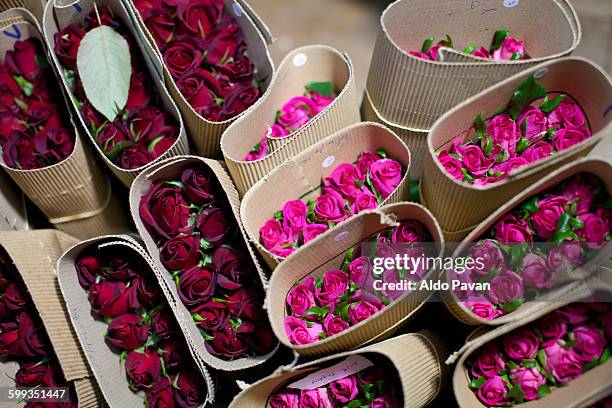 kenya, thika, simbi roses fair trade farm - eerlijke handel stockfoto's en -beelden