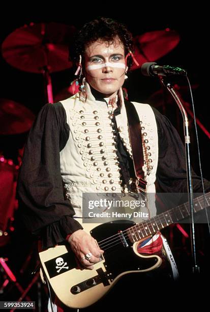 Adam Ant Insect 1,797 Adam Ant Photos & High Res Pictures - Getty Images