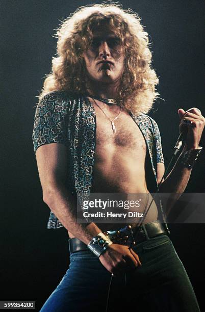 Robert Plant On Stage