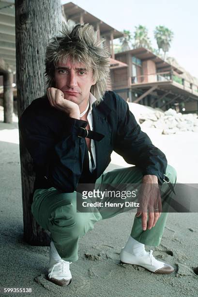 Rod Stewart crouches by a supporting pier under his beach house in Malibu, California.