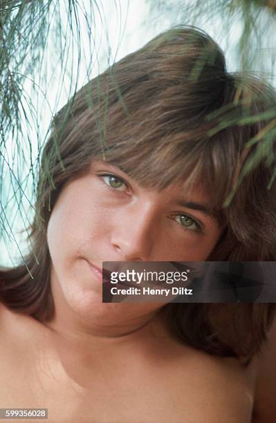 Portrait of David Cassidy, actor on the television show The Partridge Family, on vacation in Hawaii.