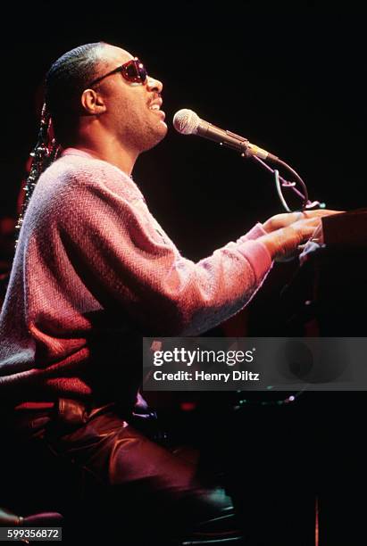 Stevie Wonder performs at a veterans benefit concert at Los Angeles' Shrine Civic Auditorium.