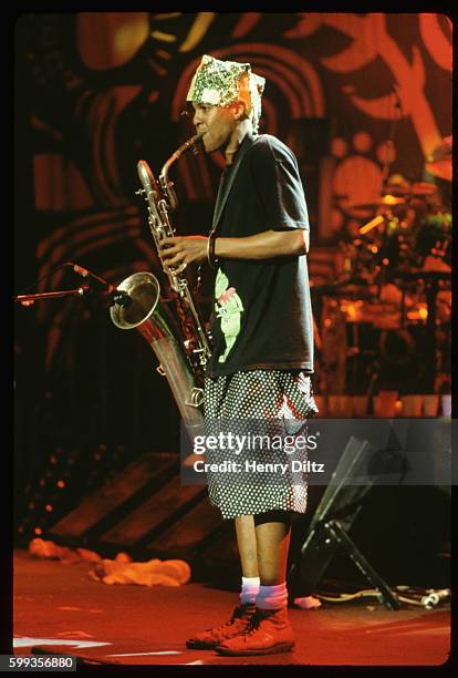 Fishbone Photos and Premium High Res Pictures - Getty Images