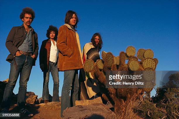 Rock band the Eagles are : Bernie Leadon, Don Henley, Randy Meisner, and Glenn Frey.