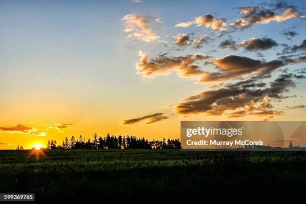 sunrise over farm fields - murray mccomb stock pictures, royalty-free photos & images