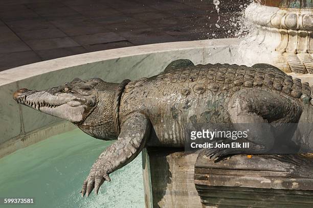 nimes, crocodile fountain - gard stock-fotos und bilder
