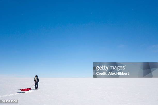 polar explorer hauling sledge on an arctic expedition, greenland - poolkap stockfoto's en -beelden