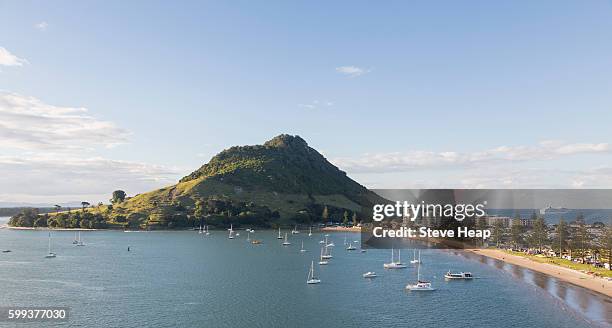 bay of plenty and tauranga city, new zealand - ilha do norte da nova zelândia imagens e fotografias de stock
