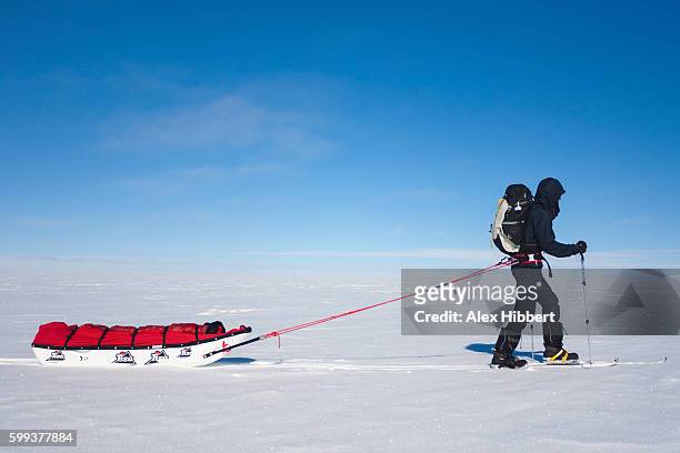 polar explorer hauling sledge, arctic circle, greenland - poolkap stockfoto's en -beelden